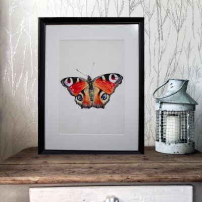 Original Pastelmaleri Dagpåfugløje 30x40