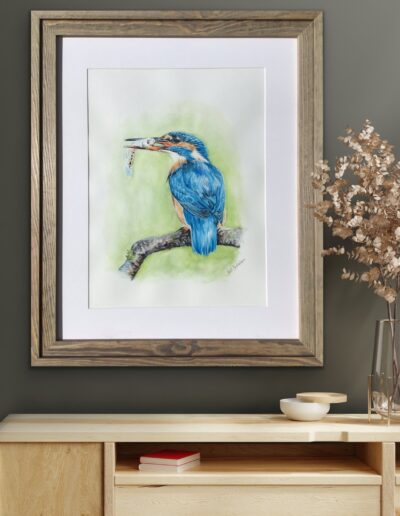 Akvarel maleri af en isfugl