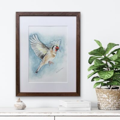 Akvarel maleri af en Stillits