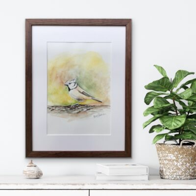 Akvarel maleri af en Topmejse