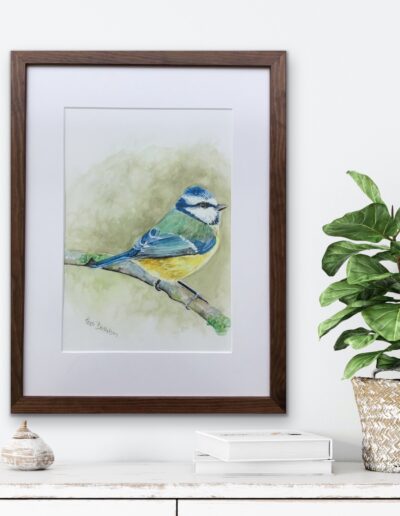 Akvarel maleri af en Blåmejse